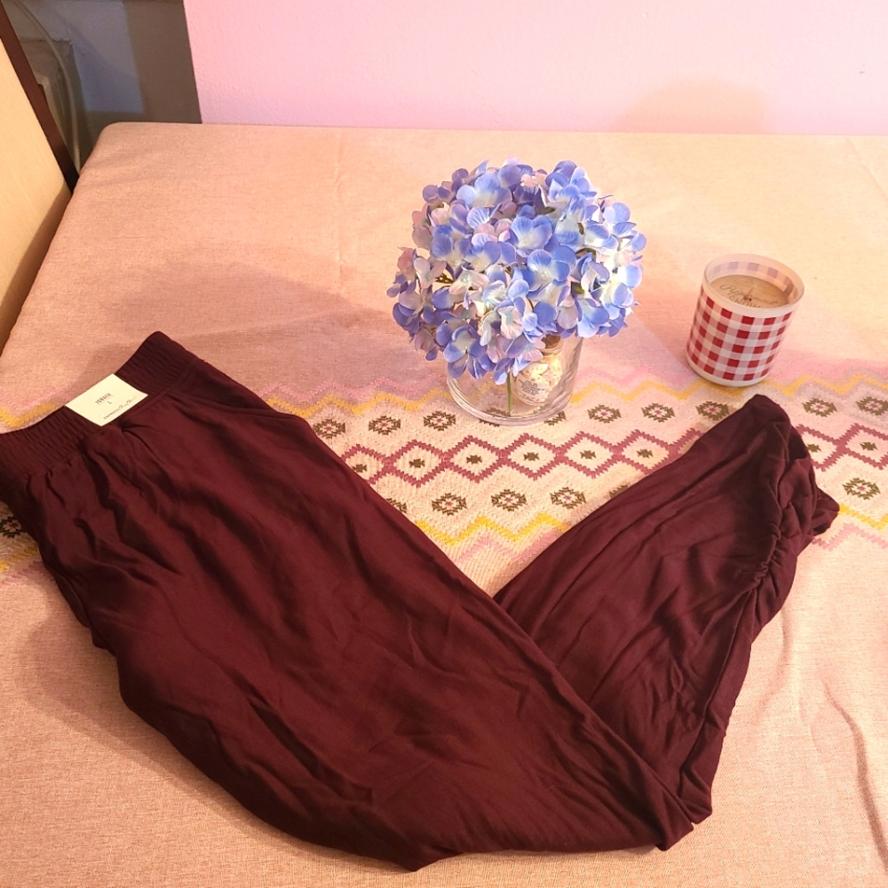 NWT Express One Eleven Jogger